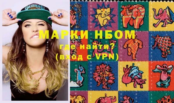 амф Новозыбков