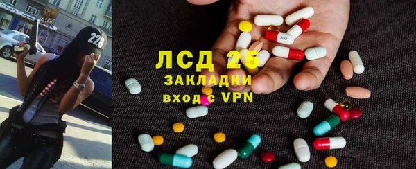 амф Новозыбков