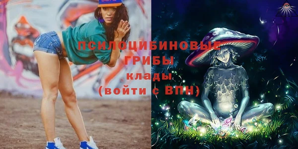 хмурый Болотное