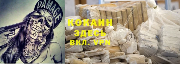 амф Новозыбков